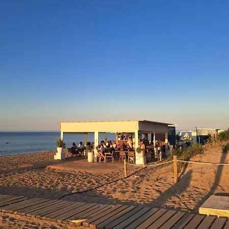 El Palmar